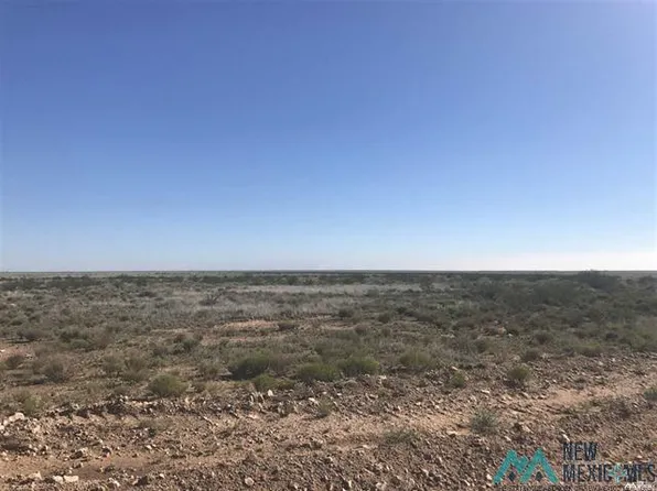 39 E Chickasaw Rd, Hagerman, NM 88232