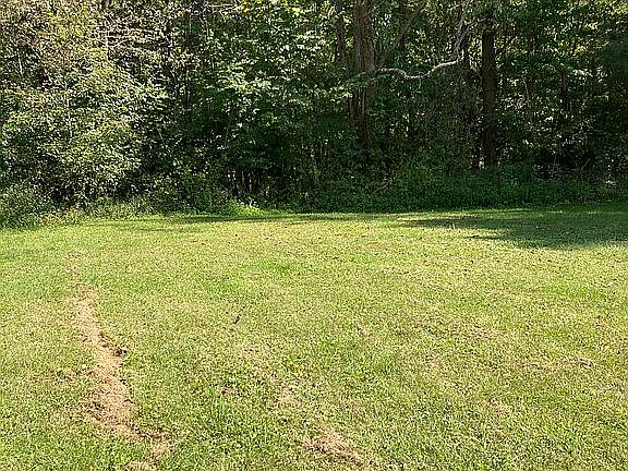 Spacious back yard