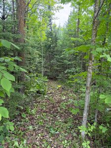 LOT 2 S Gull Lake Rd NE, Tenstrike, MN, 56683
