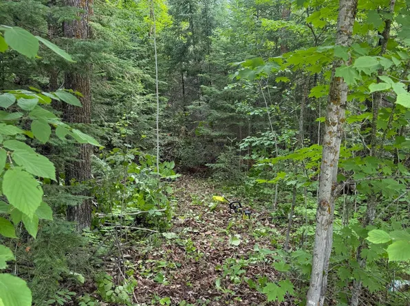 LOT 2 S Gull Lake Rd NE, Tenstrike, MN 56683