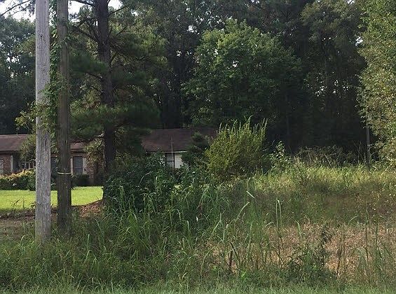 2nd image of 490 Koon Store Rd
