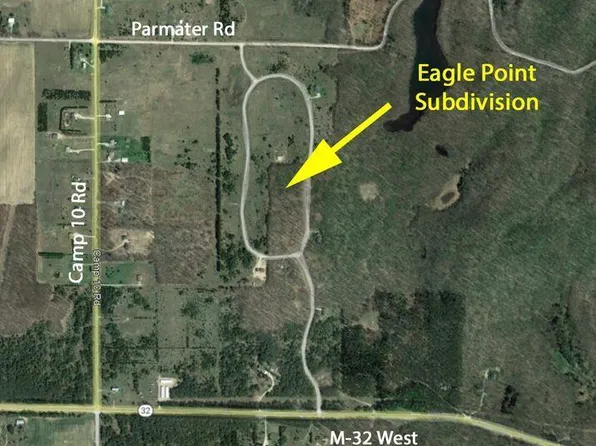 LOT 1 Peregrine Dr, Elmira, MI 49730