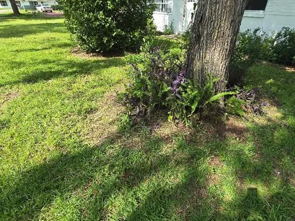 3501 NW 17 TERRACE, GAINESVILLE, FL 32605