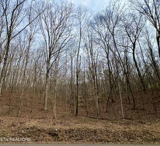 6030 Get Good Hollow Rd, Loudon, TN, 37774
