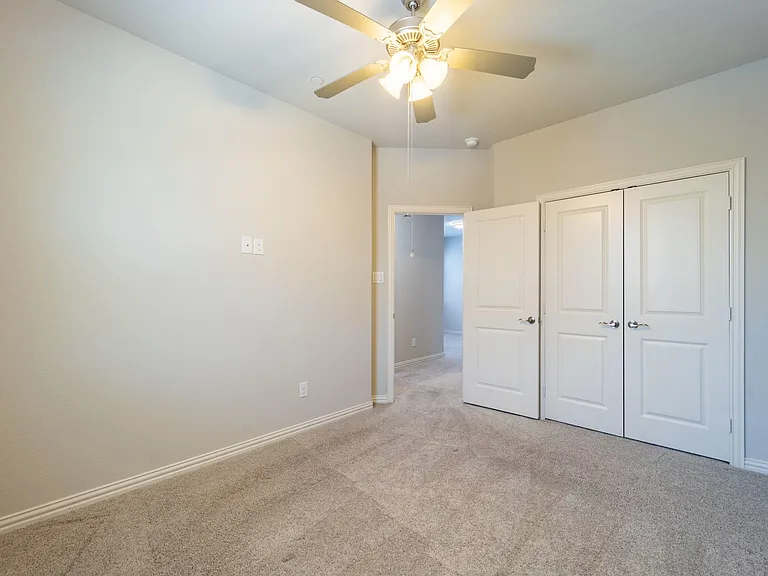 Lighted ceiling fan and extra plush carpet