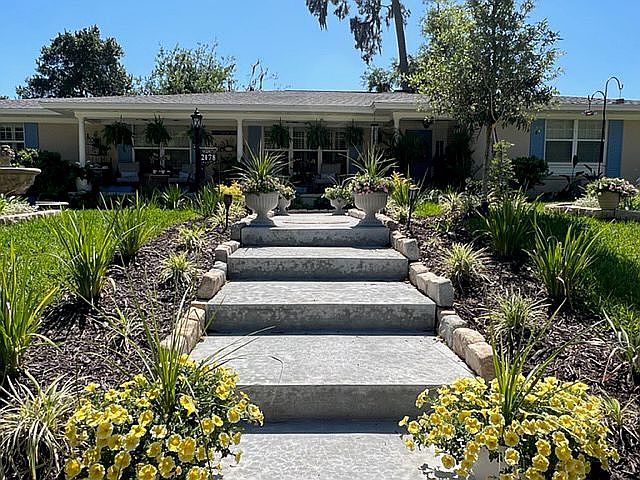 New Steps & Landscaping