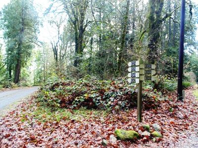 0 NE Libby Rd, Olympia, WA, 98506