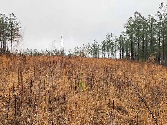 5th image of 289 Center Ridge Dr Lot 2 & 3