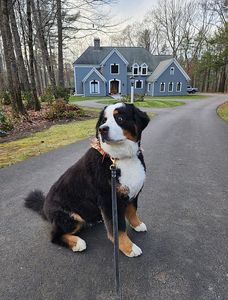 7 Tideview Ter, Kennebunk, ME, 04043