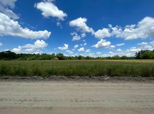 Pleasant View Church Rd, Nichols, SC 29581