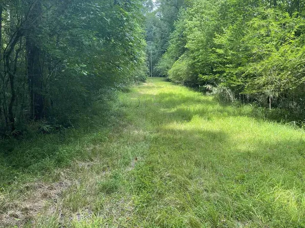 11125 State Highway 87, Juliette, GA 31046