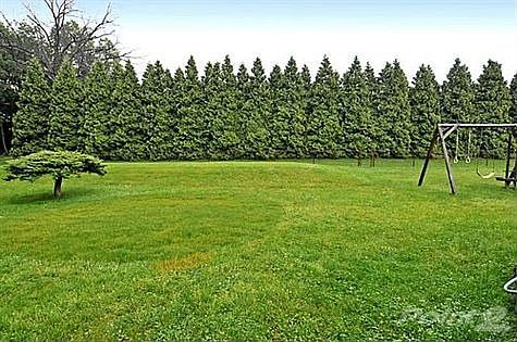 Byberry Road - Back Yard