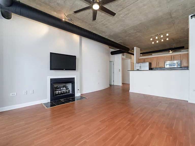 1305 S Michigan Ave #1407 — Photo 4