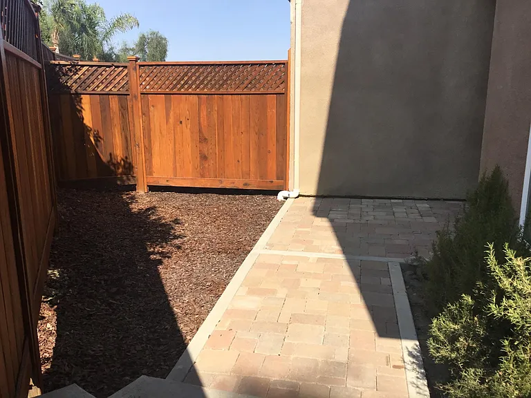 Back yard
