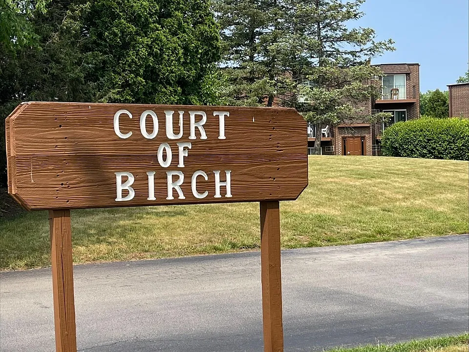 Court of Birch & Spruce