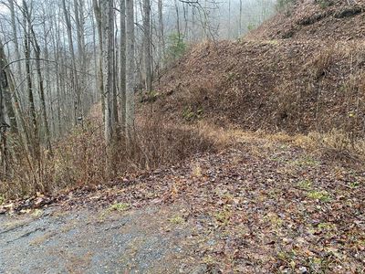 Township Road 17b Forest Run Rd, Whittier, NC, 28789