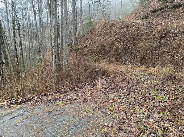 Township Road 17b Forest Run Rd, Whittier, NC 28789