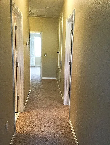 1652 Plumeria Pl — Photo 16