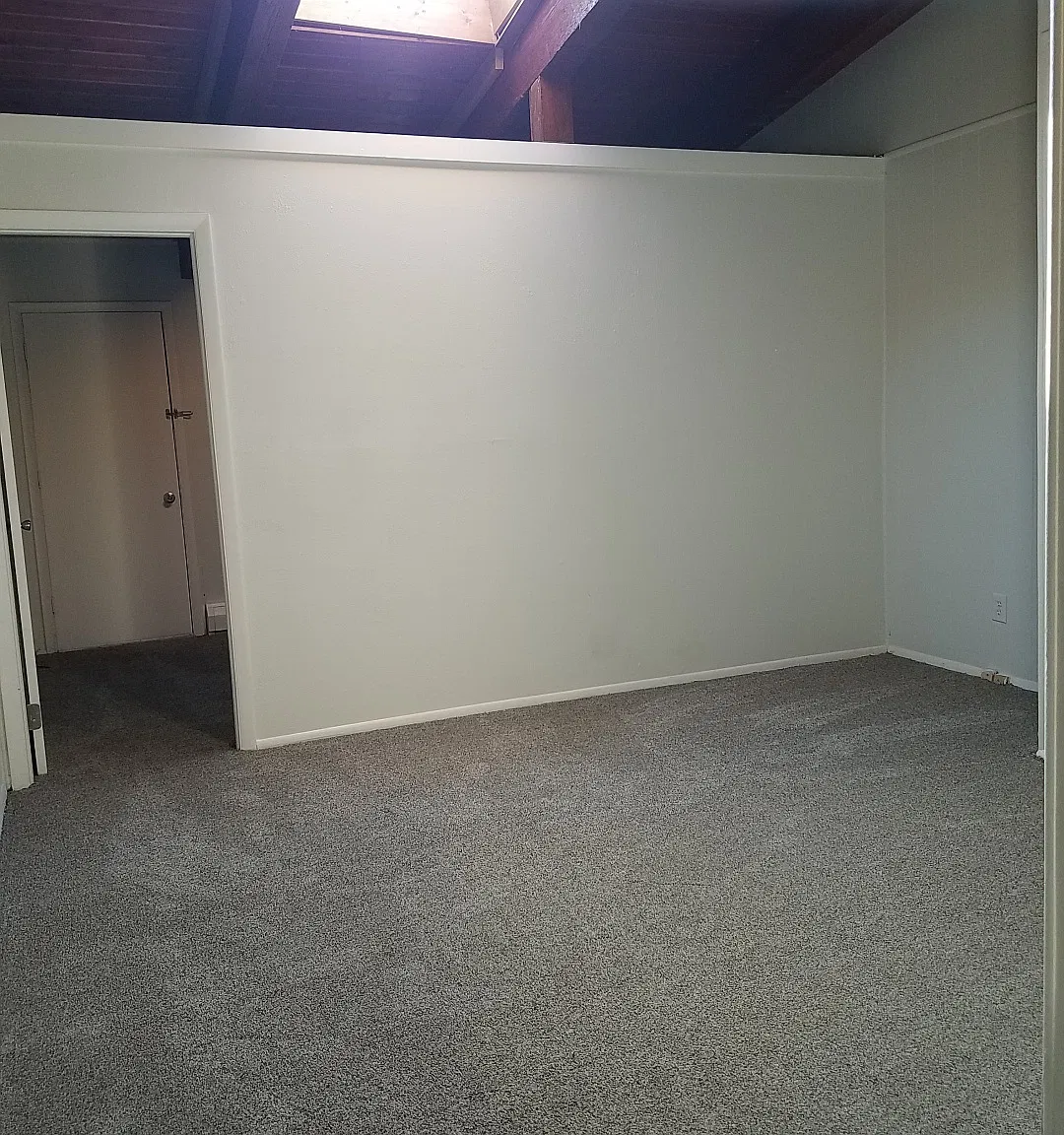 1 bed, $1,800 — Photo 4