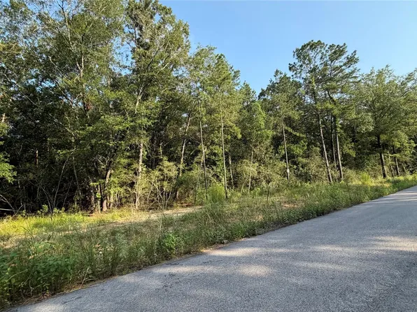 205 Kings Ct Lot 4, Dayton, TX 77535