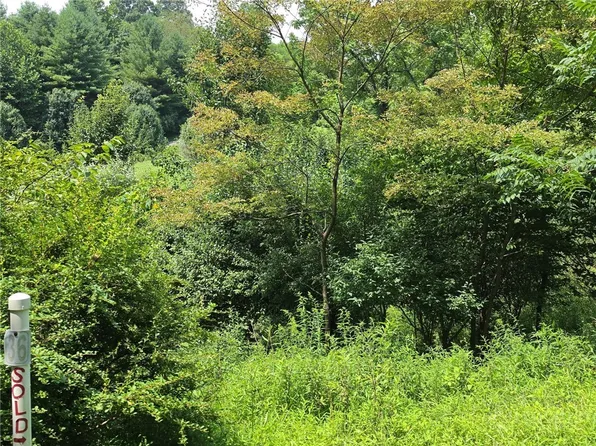 TBD lot 36 Georgina Way, Piney Creek, NC 28663