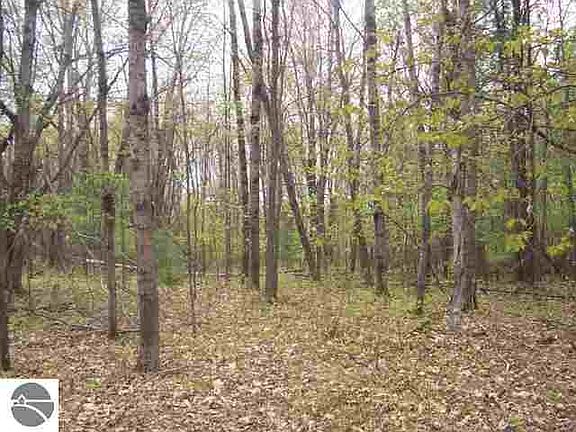3rd image of 0 E West Branch Rd