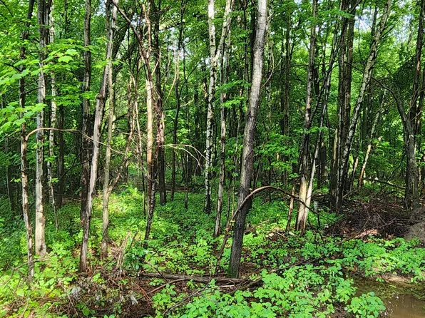 LOT 1 County Road M, Elk Mound, WI 54739