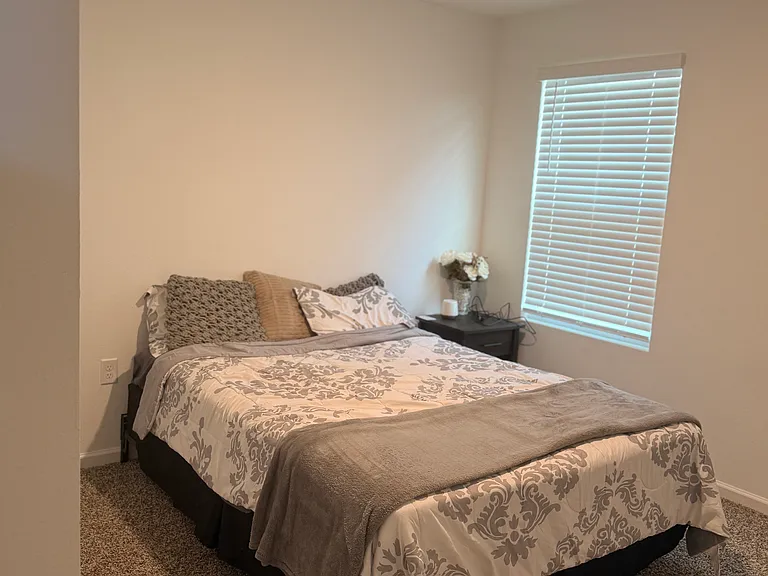 12655 Cucumber Tree St — Photo 8