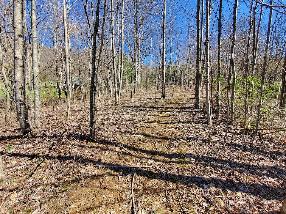 Tbd Heaton Creek Rd, Roan Mountain, TN 37687 Zillow