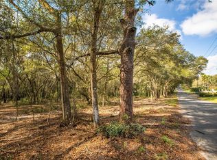 Robie Avenue Lot #4300, Mount Dora, FL 32757