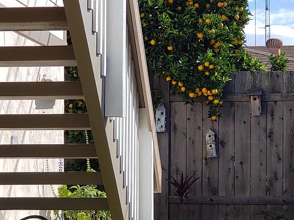 Backyard path towards stairs to the Apartment.