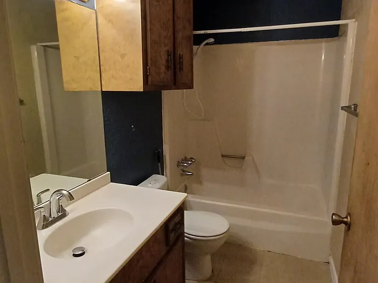 Hall Bathroom