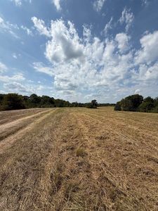 225 Teague Rd, Toone, TN, 38381