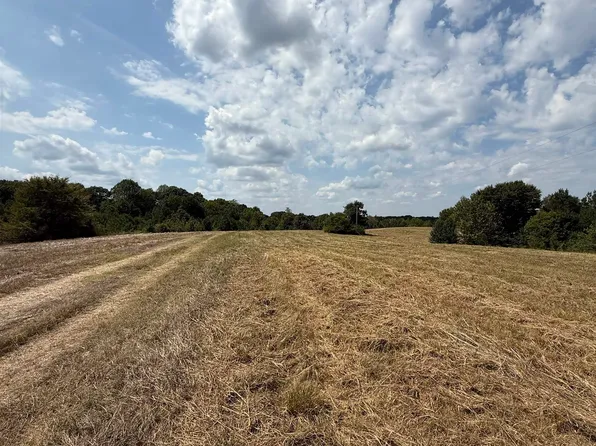 225 Teague Rd, Toone, TN 38381