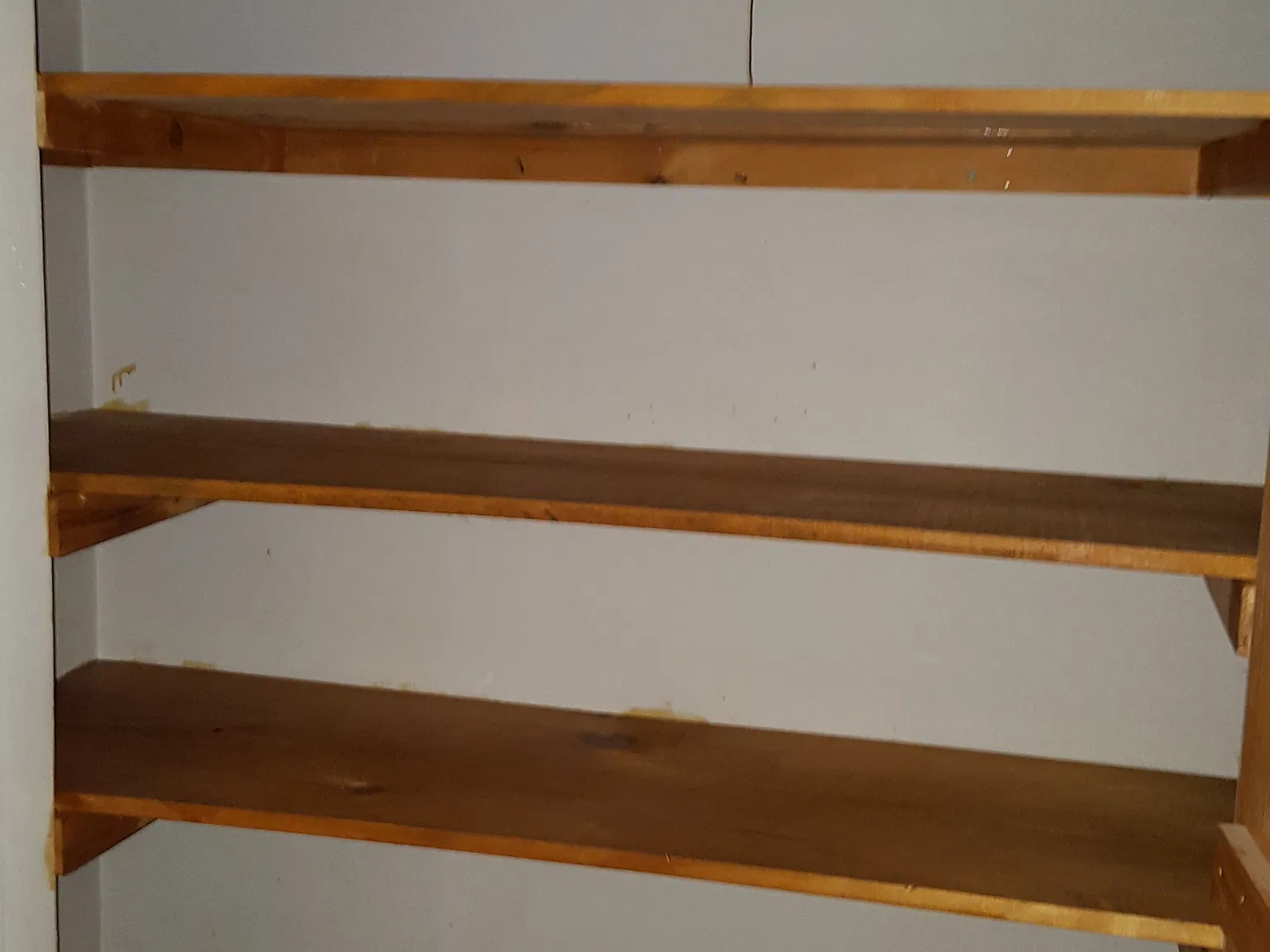 2 bed, 1100 sqft, $1,750 — Photo 4