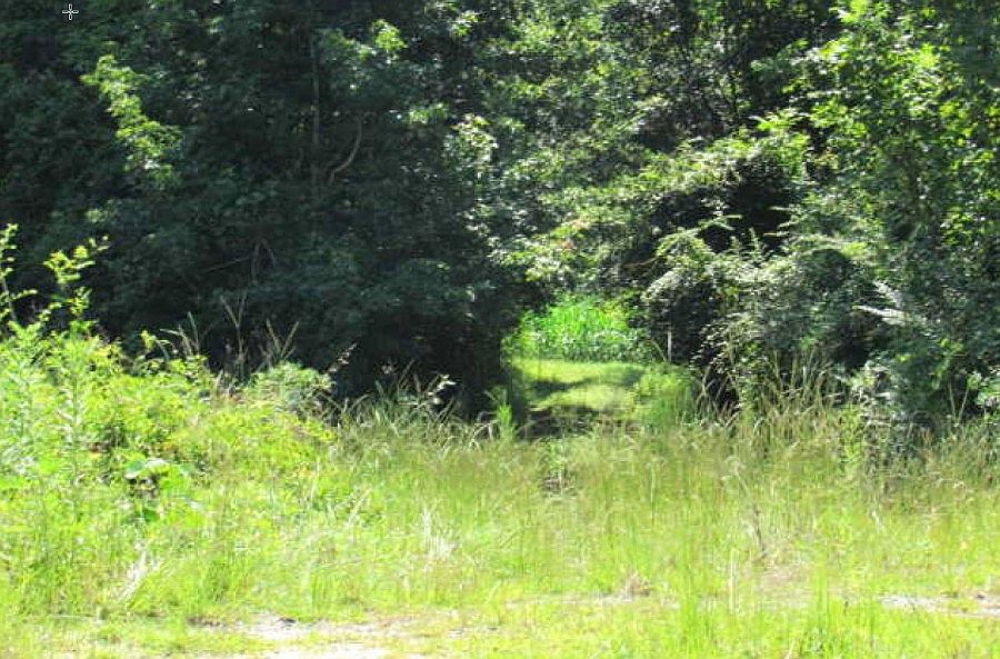 2nd image of 734 Dwight Swamp Rd