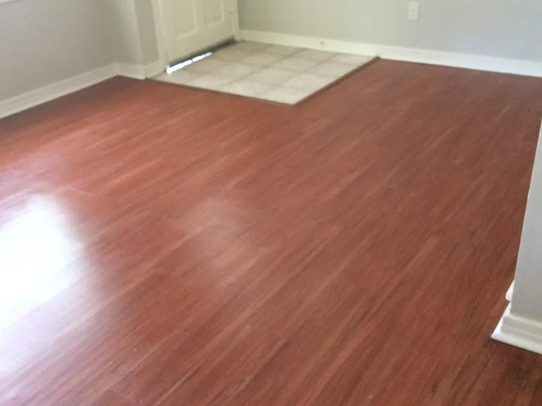 1135 Patricia Dr — Photo 3