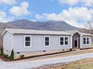 33 McIntosh Ln, Candler, NC 28715