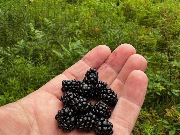 5th image of 0 Pine Lake Rd Lot 1