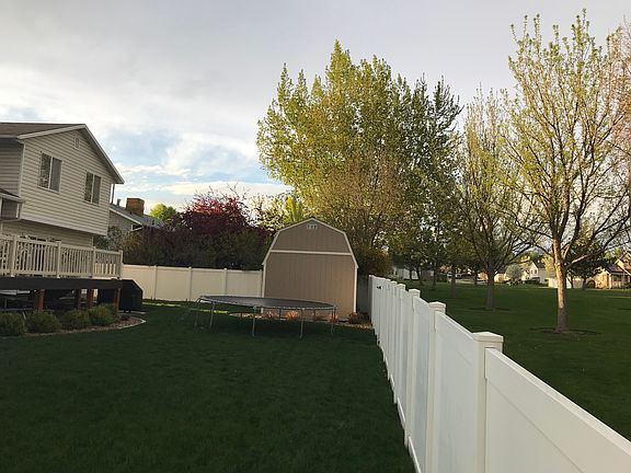 Backyard facing north