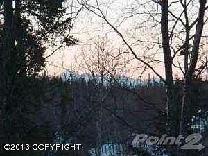 Mountain View V1