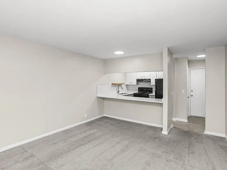 Upgraded 1 Bedroom Living/Kitchen