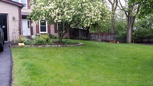 2nd image of 290 Hojem Ln