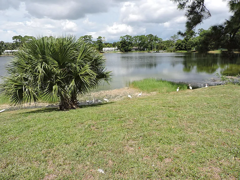 4529 Square Lake Dr — Photo 41