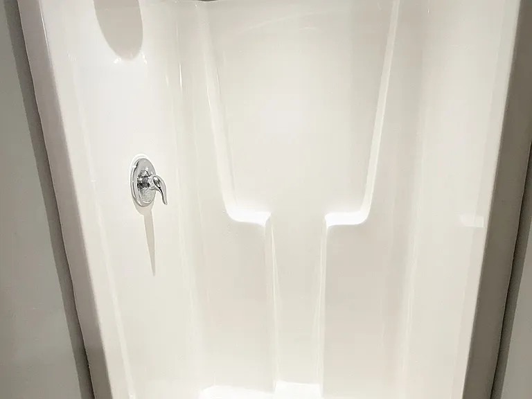 Master Bathroom Shower