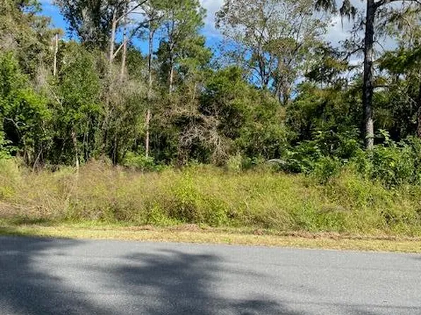 539 SE 259th St, Cross City, FL 32628