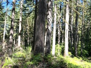 Tunnel Tract PARCEL 3, Banks, OR 97106