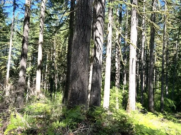 Tunnel Tract Parcel 3, Banks, OR 97106