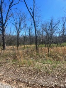 000 E Dade 68, Greenfield, MO, 65661
