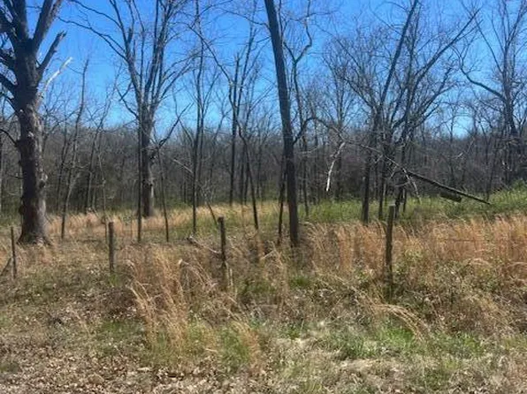 000 E Dade 68, Greenfield, MO 65661